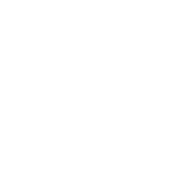 Retail Store Development icon
